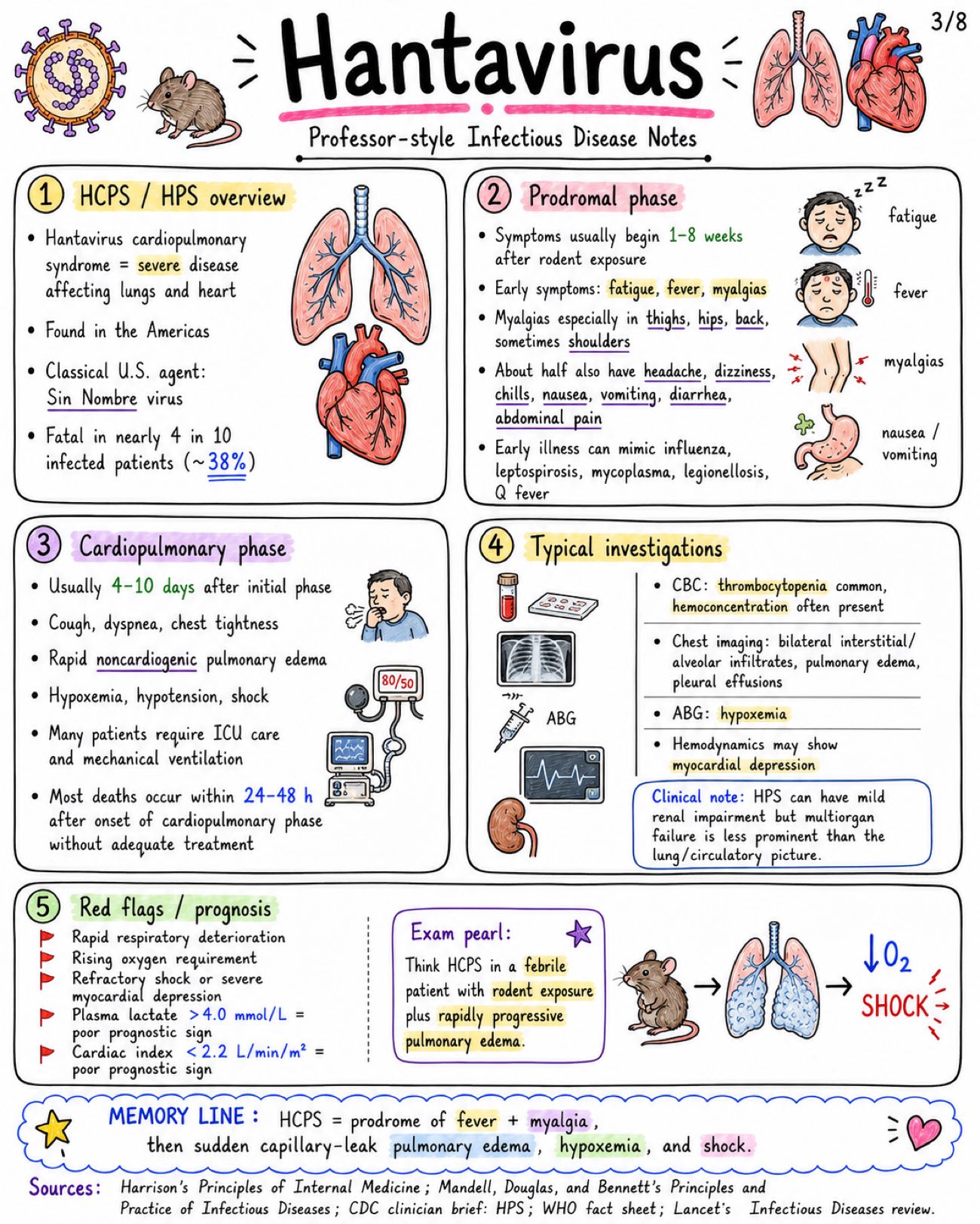 Hantavirus Notes: HCPS vs HFRS, Symptoms, Diagnosis & Treatment - Medicine - Infectious Diseases page 3 of 8 | medical study notes