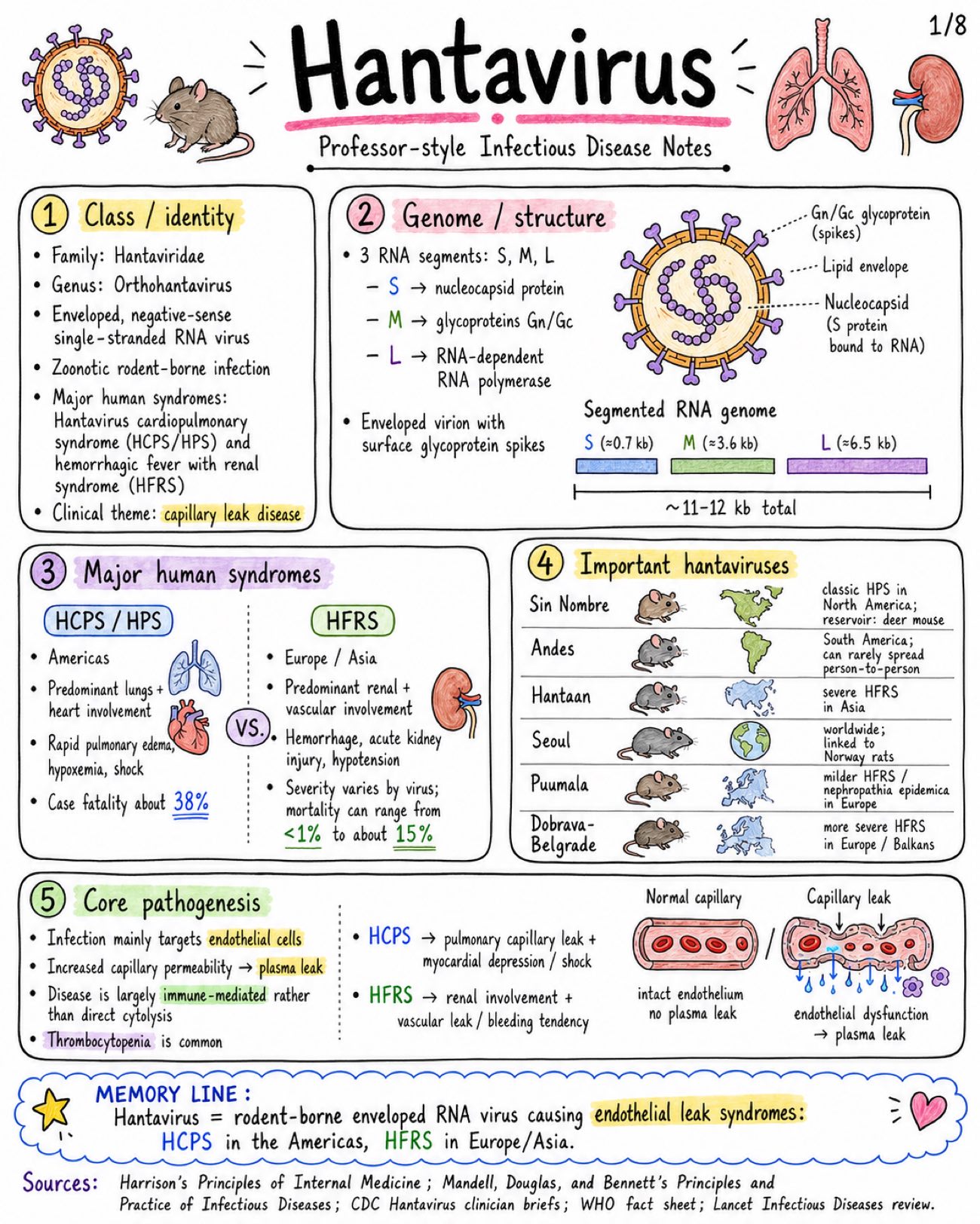 Hantavirus Notes: HCPS vs HFRS, Symptoms, Diagnosis & Treatment - Medicine - Infectious Diseases page 1 of 8 | medical study notes
