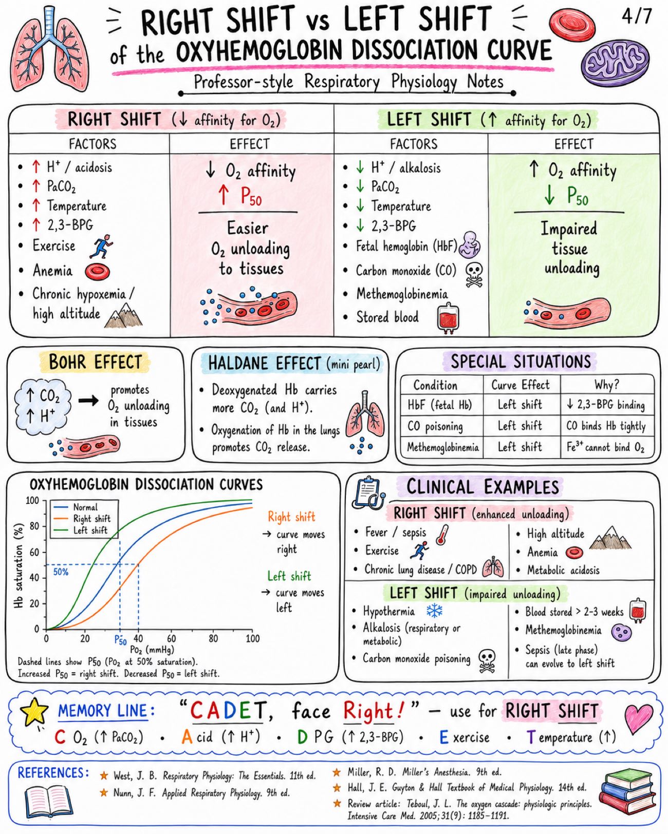 Notes on Oxygen Cascade and Hemoglobin Dissociation Curve - Anesthesia - Physiology - Respiratory page 4 of 7 | medical study notes