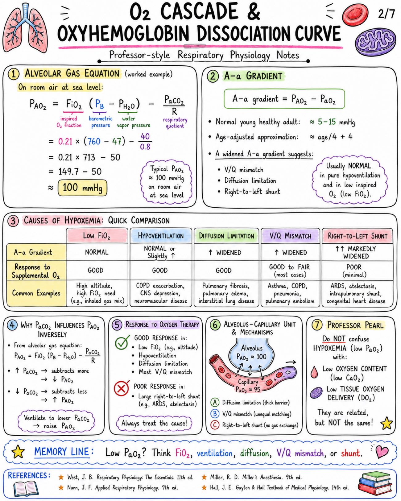Notes on Oxygen Cascade and Hemoglobin Dissociation Curve - Anesthesia - Physiology - Respiratory page 2 of 7 | medical study notes