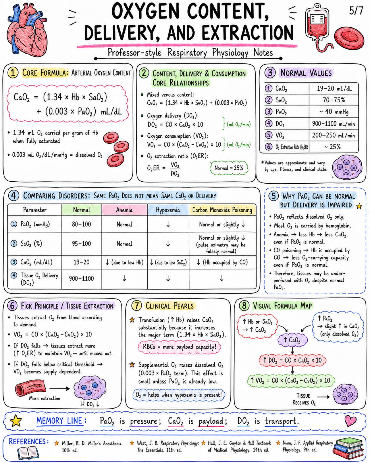 Notes on Oxygen Cascade and Hemoglobin Dissociation Curve - Anesthesia - Physiology - Respiratory page 5 of 7 | medical study notes