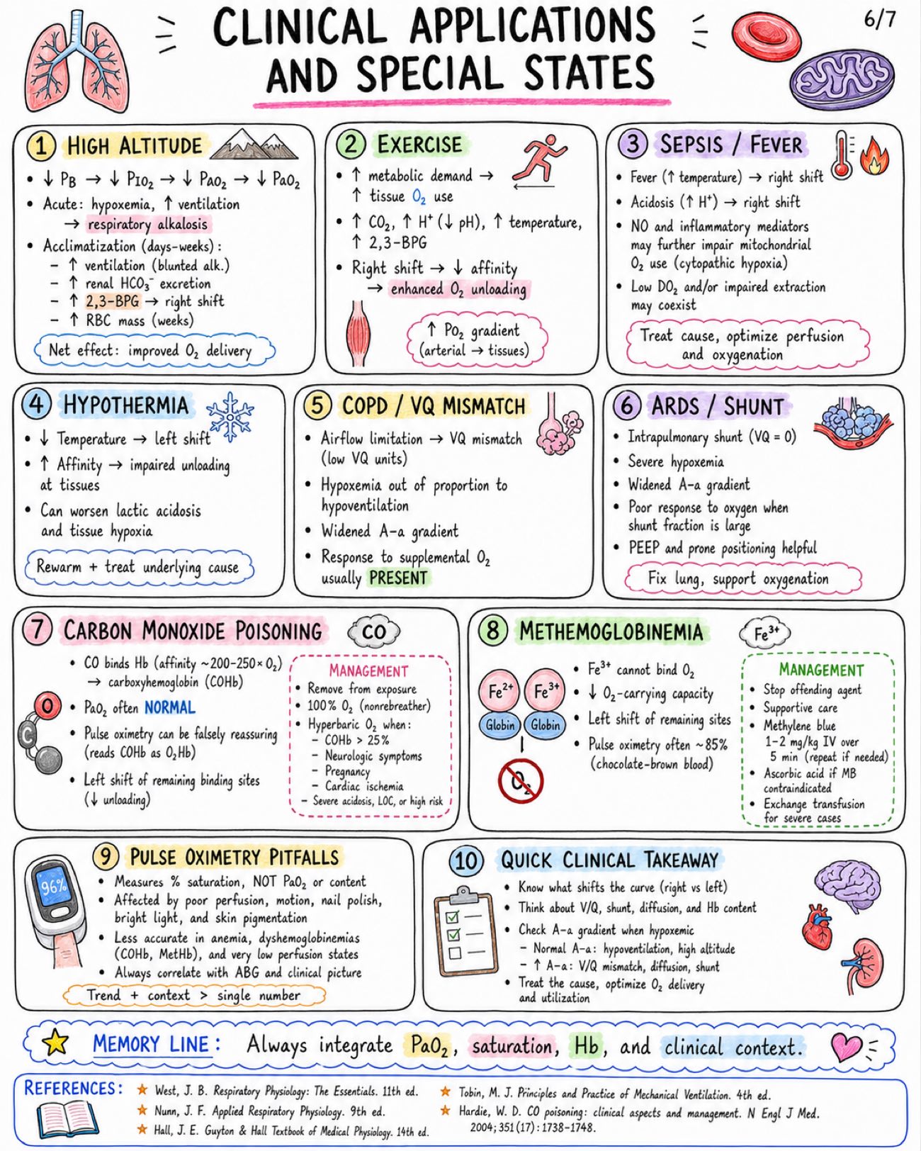 Notes on Oxygen Cascade and Hemoglobin Dissociation Curve - Anesthesia - Physiology - Respiratory page 6 of 7 | medical study notes