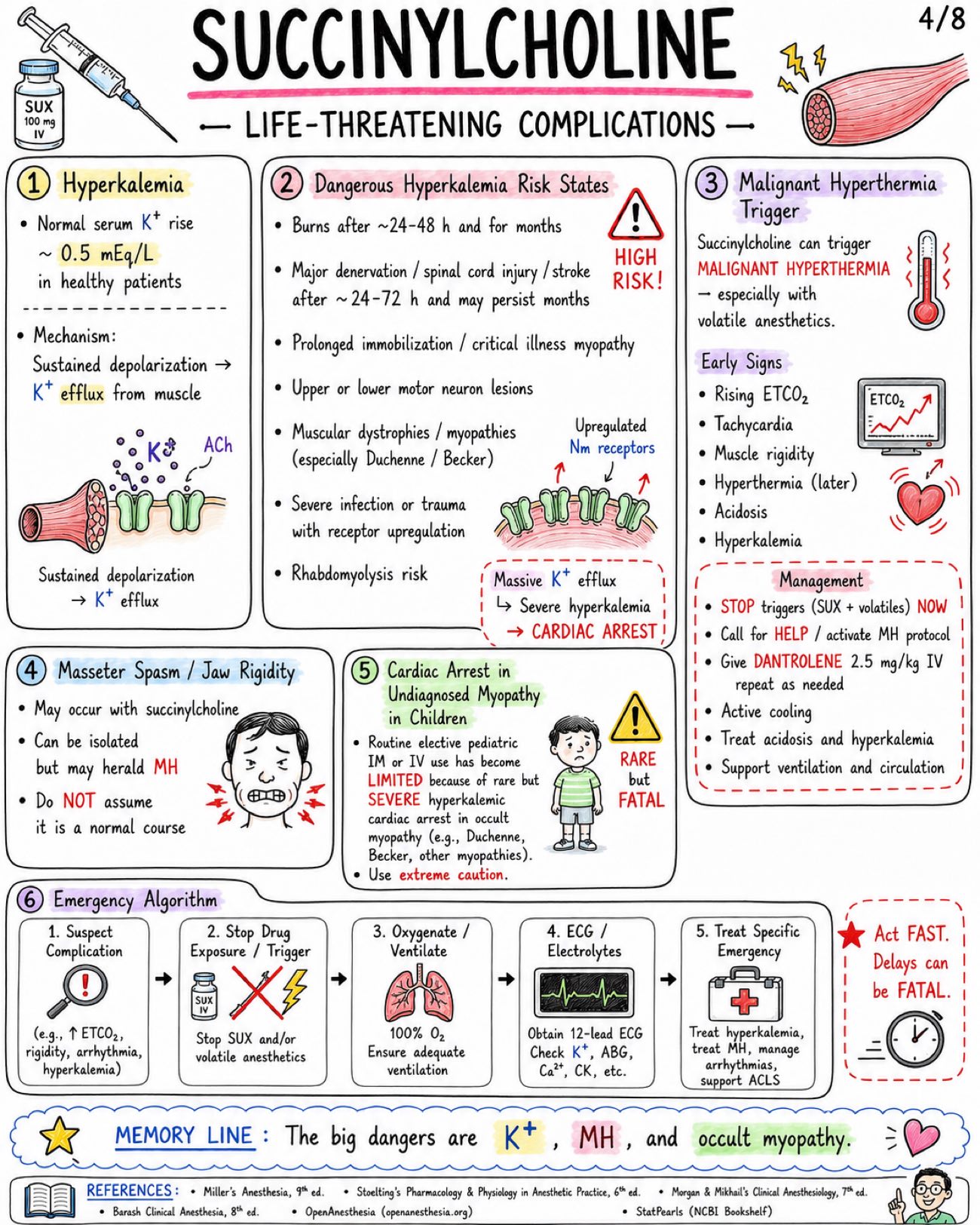 Succinylcholine Depolarizing Neuromuscular Blocker - Anesthesia - Drugs page 4 of 8 | medical study notes