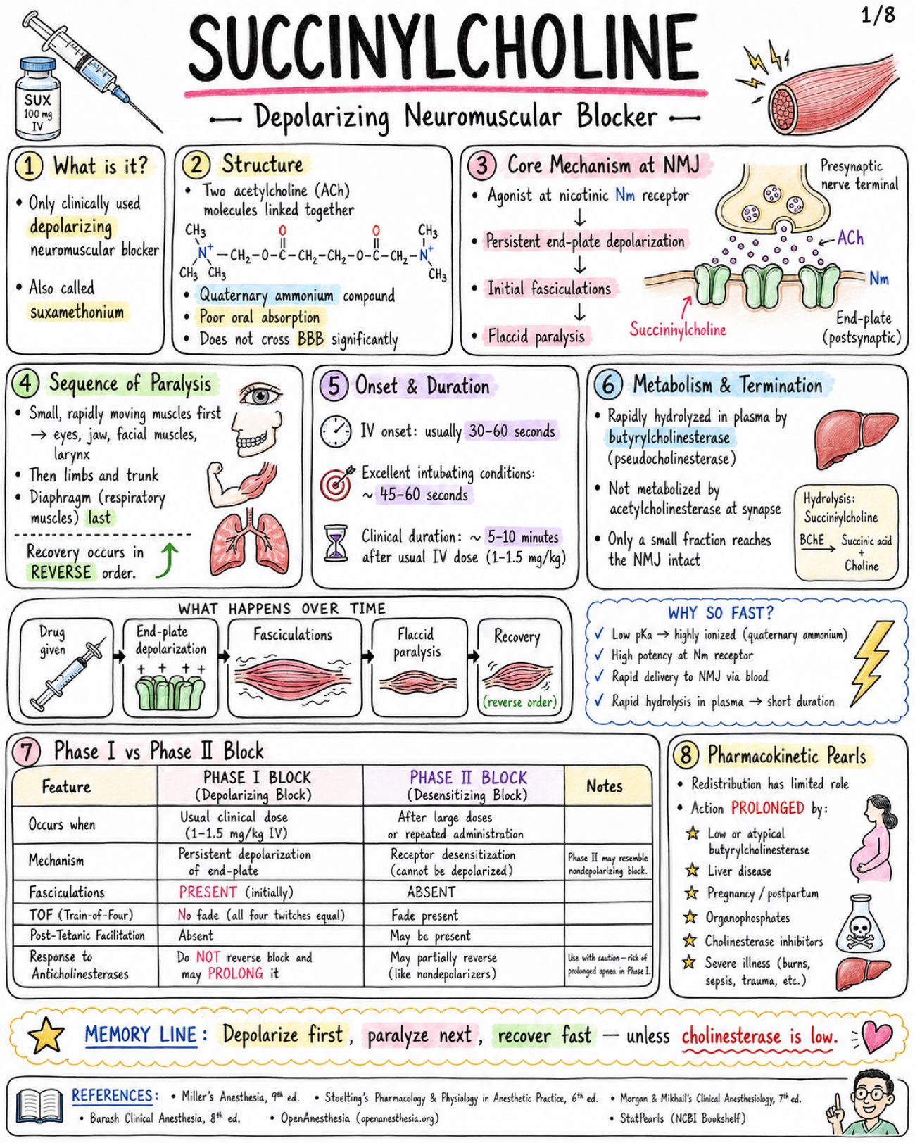 Succinylcholine Depolarizing Neuromuscular Blocker - Anesthesia - Drugs page 1 of 8 | medical study notes