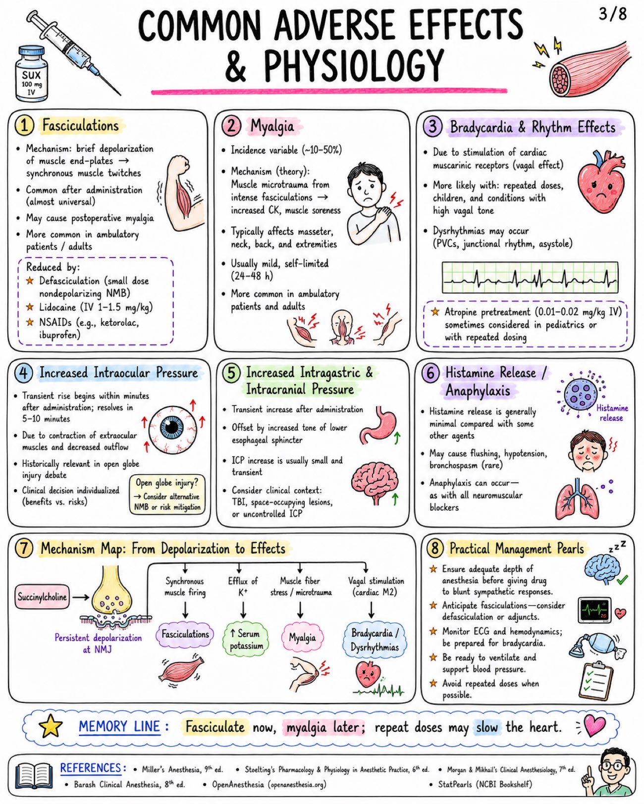 Succinylcholine Depolarizing Neuromuscular Blocker - Anesthesia - Drugs page 3 of 8 | medical study notes