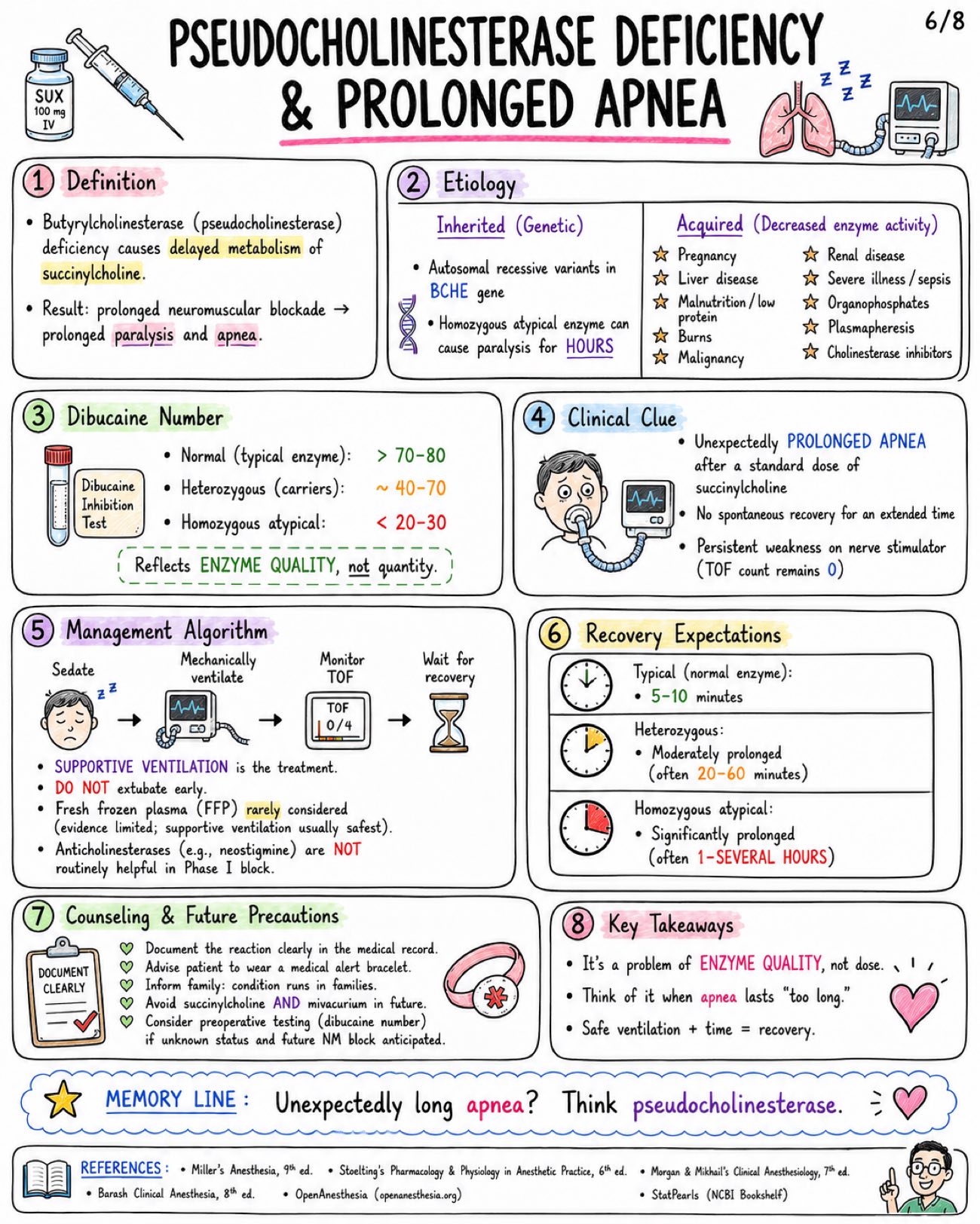 Succinylcholine Depolarizing Neuromuscular Blocker - Anesthesia - Drugs page 6 of 8 | medical study notes